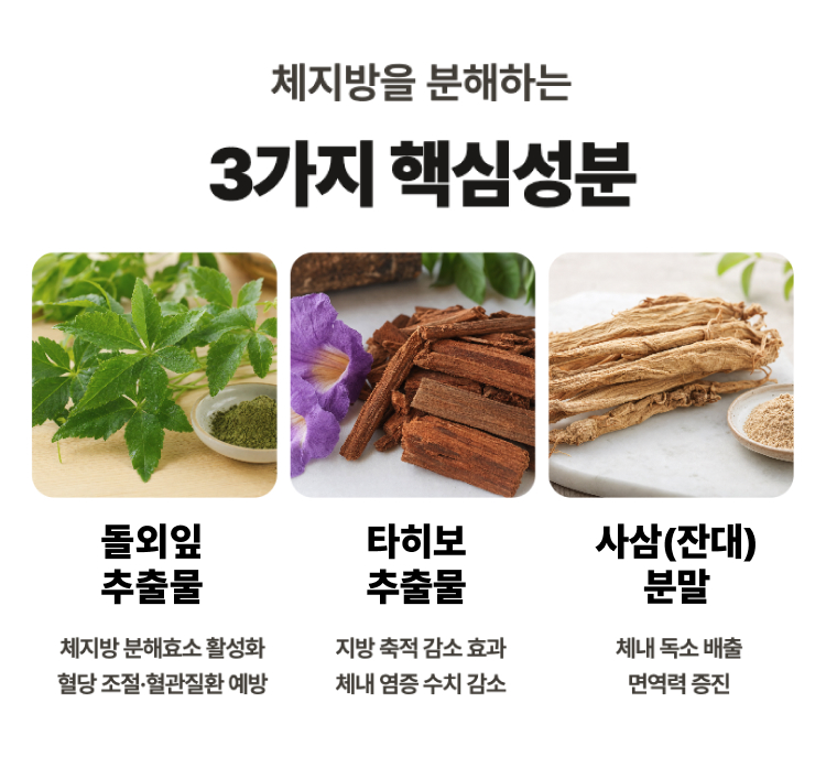 체지방을 분해하는 3가지 핵심성분 — 동외잎 추출물(체지방 분해효소 활성화·혈당 조절·혈관질환 예방), 타히보 추출물(지방 축적 감소·체내 염증 수치 감소), 사삼(잔대) 분말(체내 독소 배출·면역력 증진)